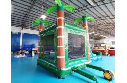 China EN71 Palm Tree Bouncy Castle Water Slide Combo Bounce House supplier