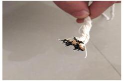 China High Strength Flame Retardant Filler , Polyester Cotton Yarn For Wire Filling supplier