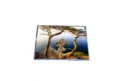 China B150XG05 15.0 inch 1024*768 LCD Display TFT-LCD SCREEN supplier
