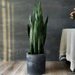 Artificial Potted Bonsai Agave Plant Landing Ornaments Indoor Decoration for sale