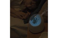 China Flower Remote Control Essential Oil Diffuser 400ml Aromatherapy Air Humidifier supplier