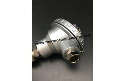China Inserted Temperature Sensor RTD PT100 With Waterproof Head supplier