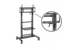 China 55 86 Interactive Whiteboard Stand 200KGS With Standare VESA Easy Use And Install supplier