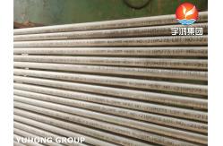 China Ferritic Seamless Tube ASME/ASTM A213 T444 For Boiler And Heat Exchanger supplier