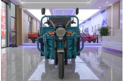 China New Model Electro Tricycle 3 Wheel Motorized Popular Adults Cargo supplier