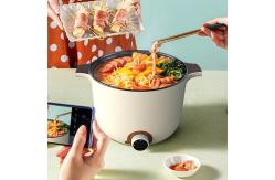 China Multi Function Electric Hot Pot Cooker 250W For Convenient Cooking supplier