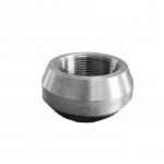 C70600 Cuni90/10 Steel Weldolet Sockolet Threadolet 1/2 3000lb Copper Nickel Fittings for sale