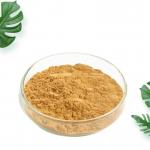 China 99% Stone pine spore Lycoris powder Radiata Extract Galanthamine Hydrobromide cheap for sale