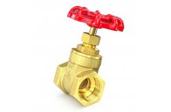 China Europe Standard Metal Gate Valve DN15 DN20 DN30 DN40 Water Control Valve supplier