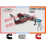 4928260 4062569 Fuel Injector Genuine Brand New Diesel Engine Parts for Cummins ISX15 QSX15 Fuel Injector 4928260 4062569 for sale