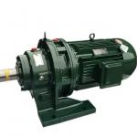 Industrial Pinwheel Speed Cycloidal Gear Reducer Motor ODM