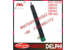 China Hyundai 2.9CRDI DELPHI Diesel Fuel Injector EJBR02401Z EJBR02901D HRD334 supplier