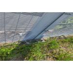 Powder Coated 358 High Security Fence 1.8m Prison Mesh Anti Climb