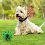 TPR Hollow Anti Biting Stretching Pet Rubber Ball Educational for sale