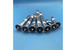 China Versatile Bag-on-Valve Aerosol Dispenser - Efficient Solution for Various Applications supplier