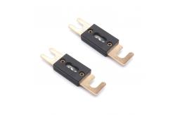 China ANL Fuse Gold Plated Fuse for Car Vehicle Audio Video System supplier