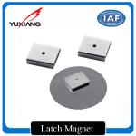 High Corrosion Resistance Custom Made Magnets Latch Magnet For Speakers for sale
