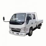 FORLAND   Double Row  Column  Plate Goods Truck  Freight Transport  Truck Lorry for sale