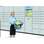 Semi Outdoor Smart IC Card Reader The Cleaning Locker For Commercial Laundry Services for sale
