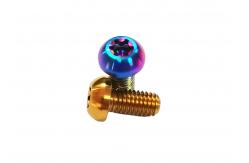 China Titanium Disc Brake Screw With Round Hex Head supplier