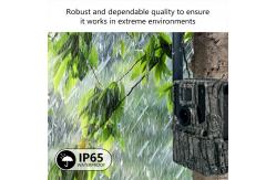China 1920*1080P 8MP 5MP 3MP Hunting Trail Cam with 0.4s Response Time supplier