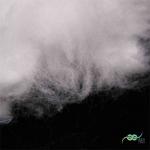 Low Melt Fiber 6D Low Crimp Ethylene Propylene Fibre For Sanitary Material