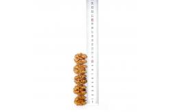 China Chinese Factor bulk sale Chinese walnutskernal with cheap price and best quality supplier