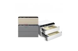 China Fingerprint Lock Voice Guide Steel Luxury Best Home Jewelry Safe Auto Open supplier
