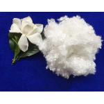 7Dx64MM raw white hollow conjugated siliconized polyester staple fiber in virgin grade for sale