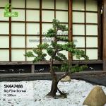 Indoor Decoration Anti Fading Artificial Black Pine Bonsai Real Touch for sale