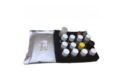 China Macrophage Colony Stimulating Factor M-CSF ELISA Kit FDA Approved supplier