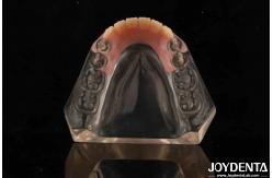 China Tooth Arrangement Technology Flexible Denture Finish High Elasticity Customization supplier