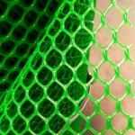 Green And White PE Plastic Flat Netting Mesh for Farm Chicken Fencing