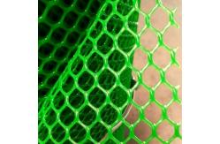 China Green And White PE Plastic Flat Netting Mesh for Farm Chicken Fencing supplier