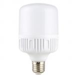 E27 Warm White T Shaped Light Bulb