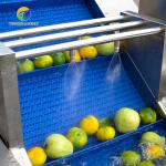 Customized Driven Pesticide Exclude Vegetable Processing Line , Centrifuging Tomato Processing Line