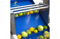 China Customized Driven Pesticide Exclude Vegetable Processing Line , Centrifuging Tomato Processing Line supplier