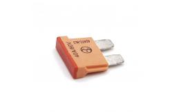 China 80V Standard Car Auto Fuse supplier