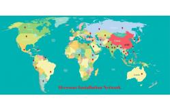 China Bean Color Sorter Machine manufacturer