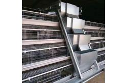 China 1.2mm Automatic Poultry Feeding System Q235 Hot Dipped Galvanized Sheet supplier