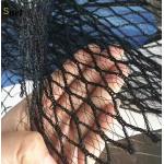 Polyethylene Apple Tree Net Cover 60m 70m 80m Apple Tree Netting