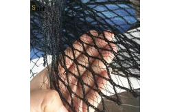 China Polyethylene Apple Tree Net Cover 60m 70m 80m Apple Tree Netting supplier