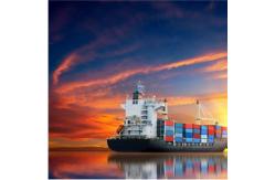 China LCL Ddp Shipping Service To USA / CANADA FBA Service Insurance Available supplier