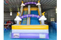 China Supplier Commercial Cloud Lightning Inflatable Slide Inflatable Dry Slides Castle supplier