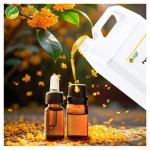 100% pure Purity Laurel Fragrance Oil Perfume With Free Sample for sale