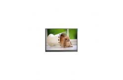 China F066A05-6T1 6.6 Inch LCD Display 720*1600 Resolution LCD IPS Panel supplier