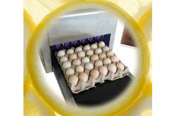 China Easy Control Egg Inkjet Marking Machine / Ink Stamping Machine With Conveyor supplier