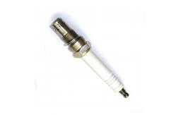 China Generators Spark Plug R10P3 For Jenbacher 347257/401824 Jenbacher 420 Series supplier