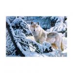 PET 50*70cm 3D Lenticular Pictures , Custom 3d Lenticular Photo With Frame