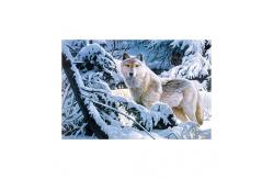 China PET 50*70cm 3D Lenticular Pictures , Custom 3d Lenticular Photo With Frame supplier